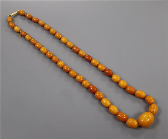 A single strand graduated oval amber bead necklace with yellow metal clasp, gross weight 39 grams, 58cm.